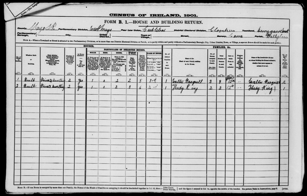 Explore census records and more through useful online resources.