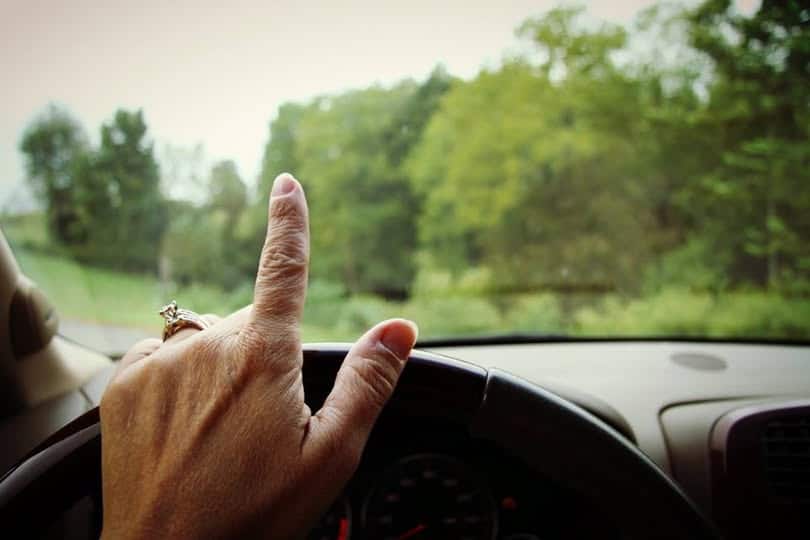 A first-person perspective from inside a car showing a driver's hand on the steering wheel with the index finger raised in a greeting or acknowledgement toward a rural, tree-lined road.
