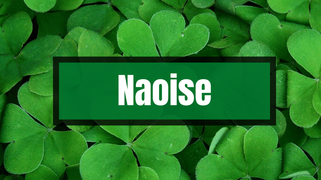 Naoise Irish name against the background of green shamrocks.