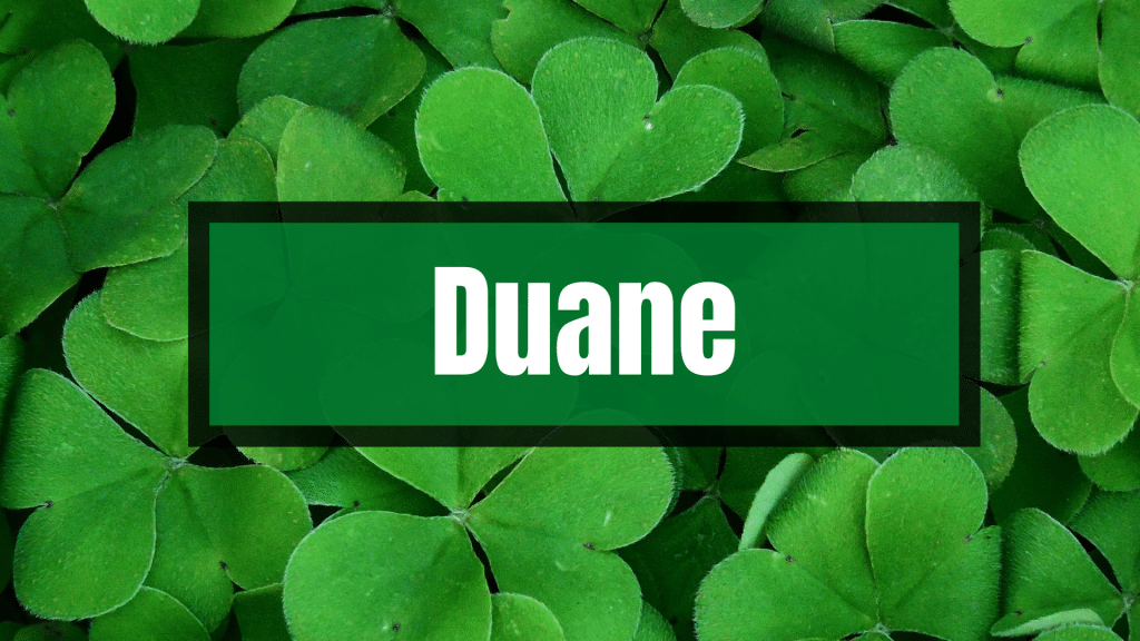 Duane Irish name against the background of green shamrocks.