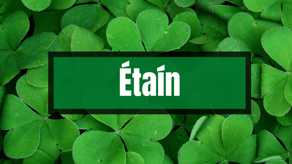 Etain Irish name against the background of green shamrocks.