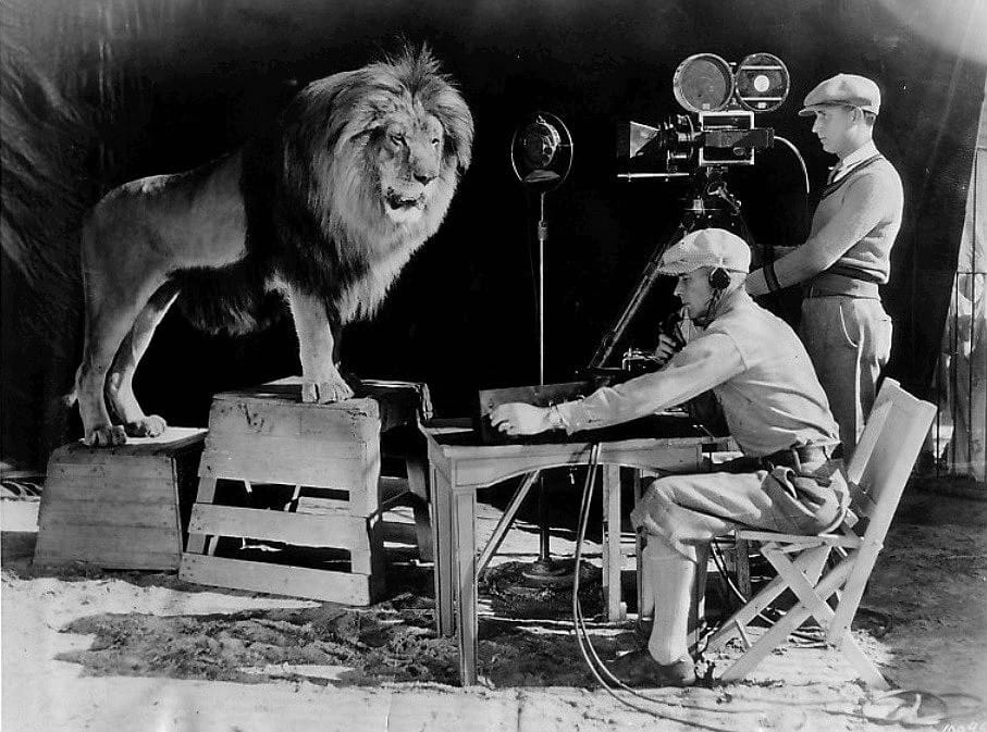 This famous lion being photographed was born in Dublin.