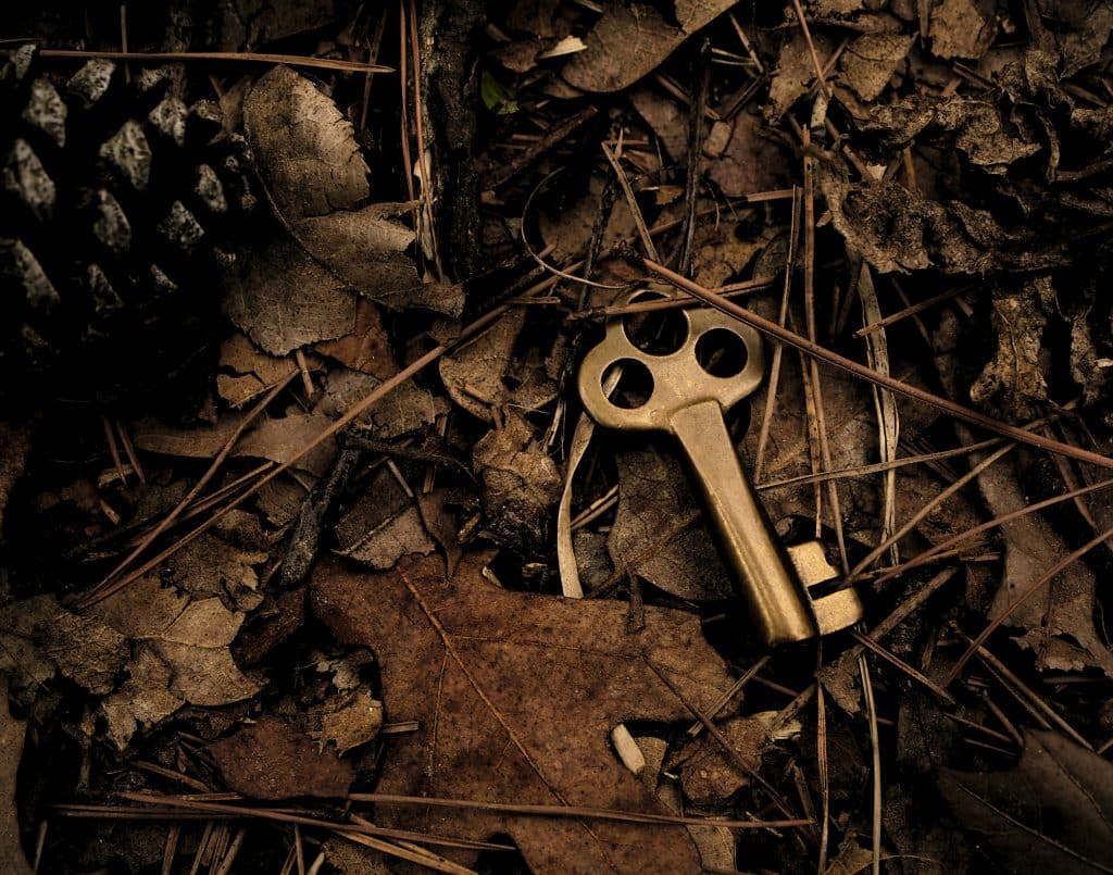 Keys on the ground among leaves.