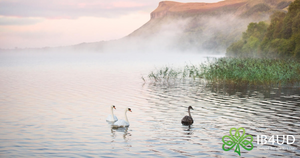 The Darty Mountains and the surrounding areas are some of the most spectacular in all of Ireland, yet they manage to feel undiscovered even to this day.